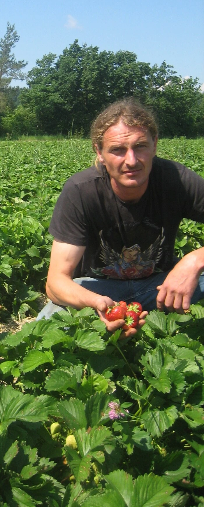 Rudi Rattenberger auf dem Erdbeerfeld (Archivfoto)