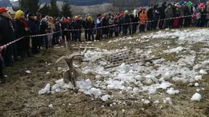 Egge und Pflug, wer soll sie ziehen, wenn die Ochsen verkauft wurden?