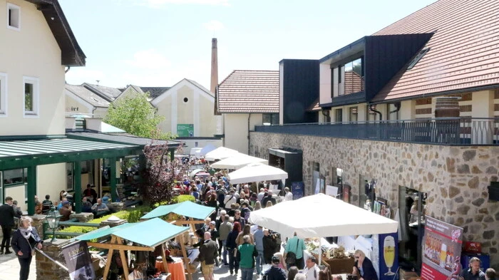 Auch wenn die Wetterbedingungen in den vergangenen Jahren beim „Slow Food Travel Marktplatz Mittelkärnten“-Frühlingsfest am Hirter Dorfplatz nicht immer die besten waren: Am Samstag herrschte jedenfalls den ganzen Tag über Kaiserwetter.