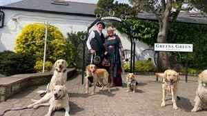Zwei Menschen in schottischer Tracht vor ihnen stehen viele Hunde mit einer Schleife 