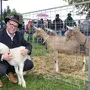 Marius Treffner lädt wieder zum Schaf- und Ziegentag (Archivfoto)