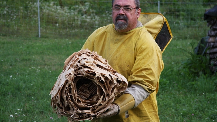 Insektenfritz: Friedrich Kach aus Ebenthal