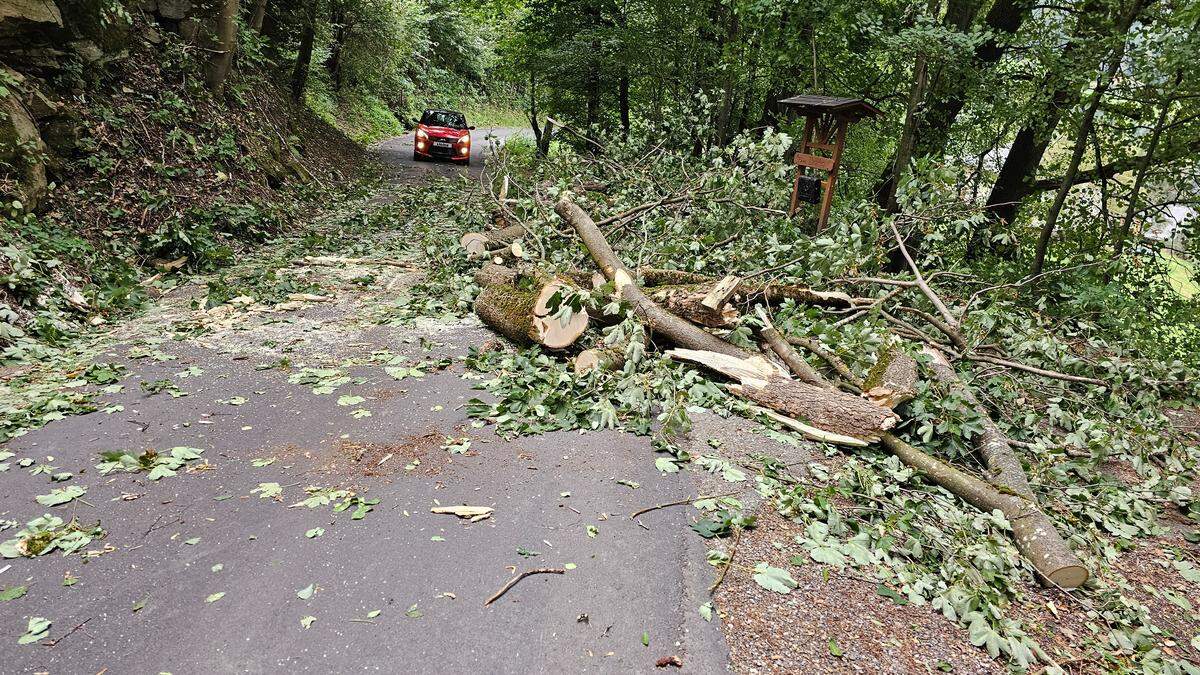 Auch im Bezirk Wolfsberg hat man mit dem Wetter - insbesondere mit dem Sturm - zu kämpfen