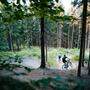 Anfänger und Profis konnten seit 2016 in einem Waldstück am Kumitzberg am Vassacher See biken