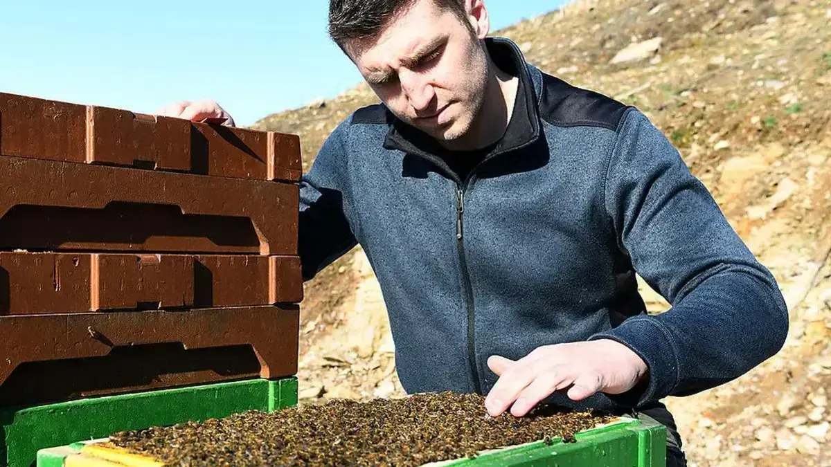 Sandro Huters Bienen entsprechen nicht dem Kärntner Rassegesetz, auf den Prozess wartet der Stockenboier noch immer