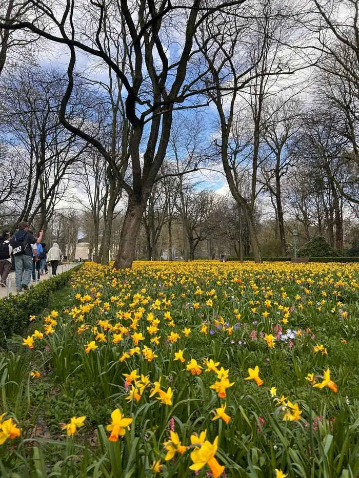 Die Stadt ist stark verbaut, dazwischen blüht es aber immer wieder