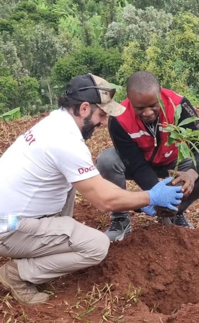 Landwirtschaftliche Flächen werden aufgeforstet