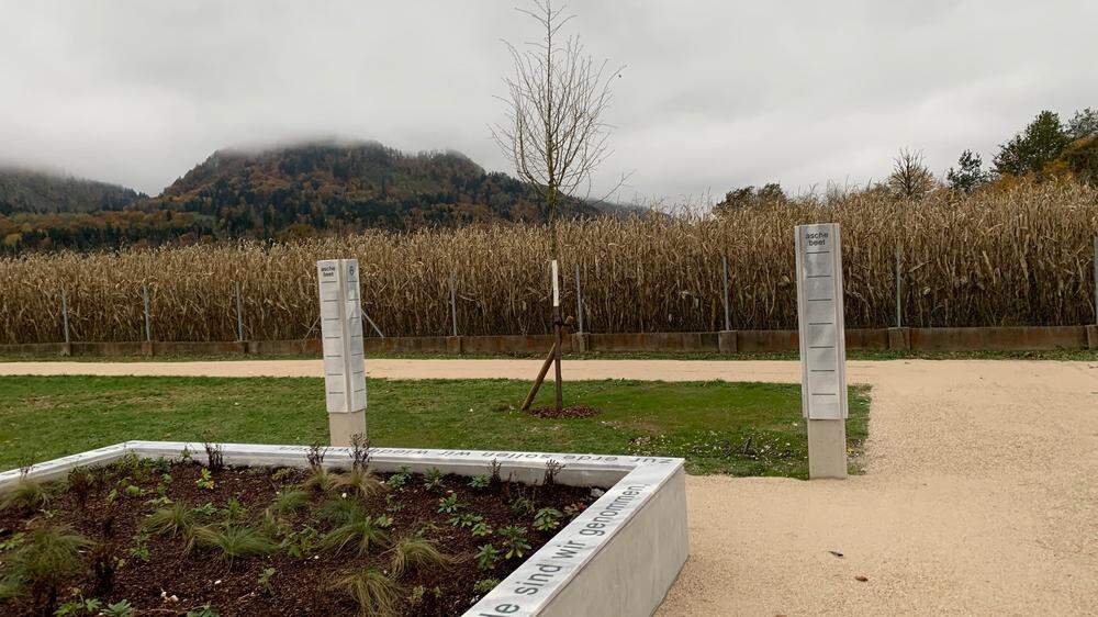 Ein Teil des neuen Gedenkparks am großen Gemeindefriedhof in Gallizien