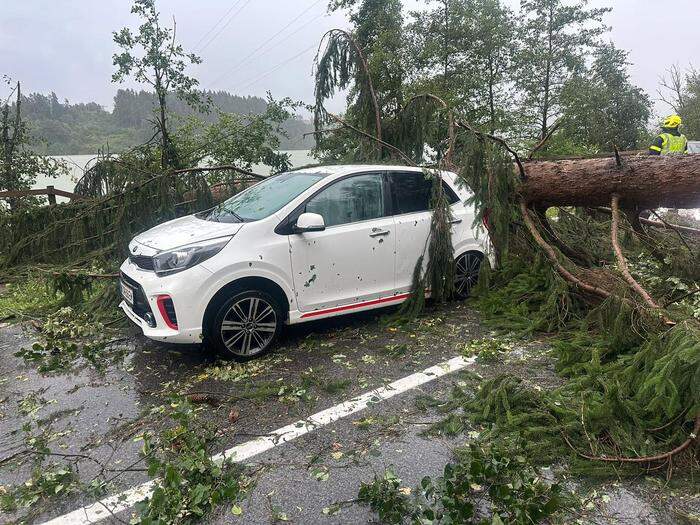 Das beschädigte Auto 