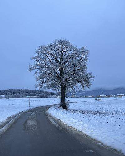 Schöne Winterlandschaft am Freitag im Lavanttal