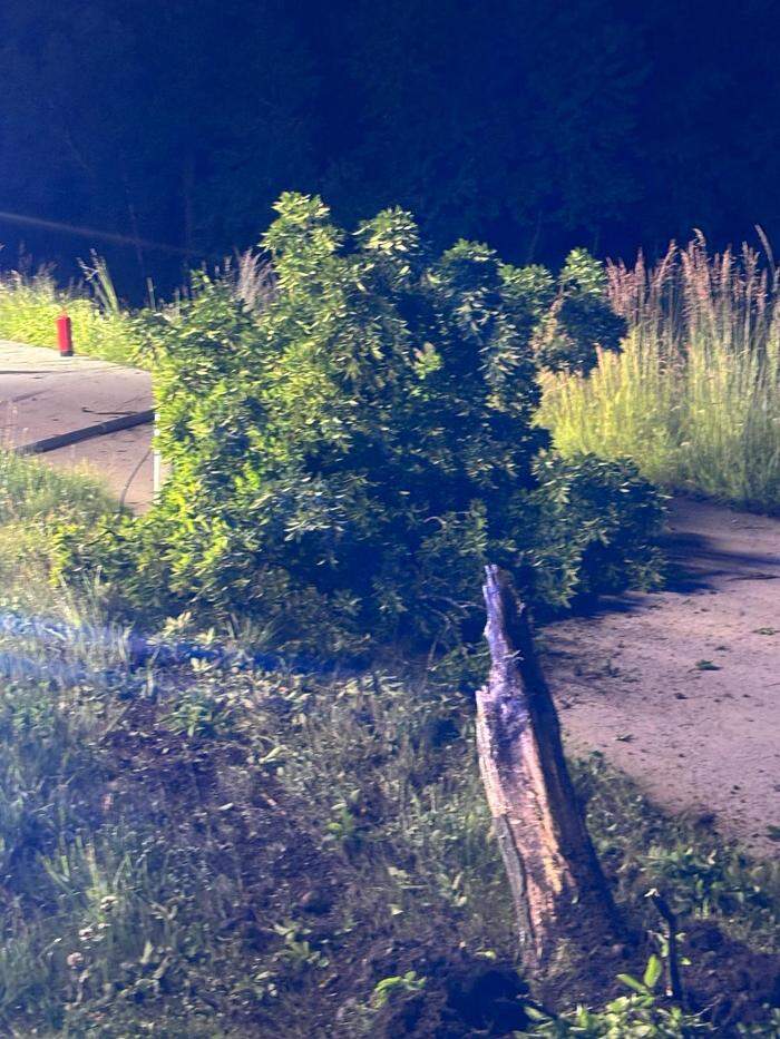 Die Unfallstelle im Bereich des Südrings 