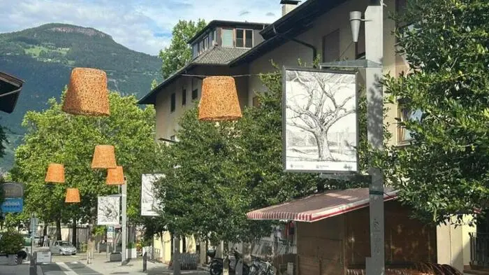 INNSBRUCK - ÖSTERREICH: FOTO: APA/APA/Privat