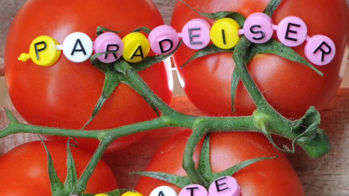 In Österreich bekommen Menschen Schnappatmung, wenn man bei dieser Frucht von einer „Tomate“ spricht