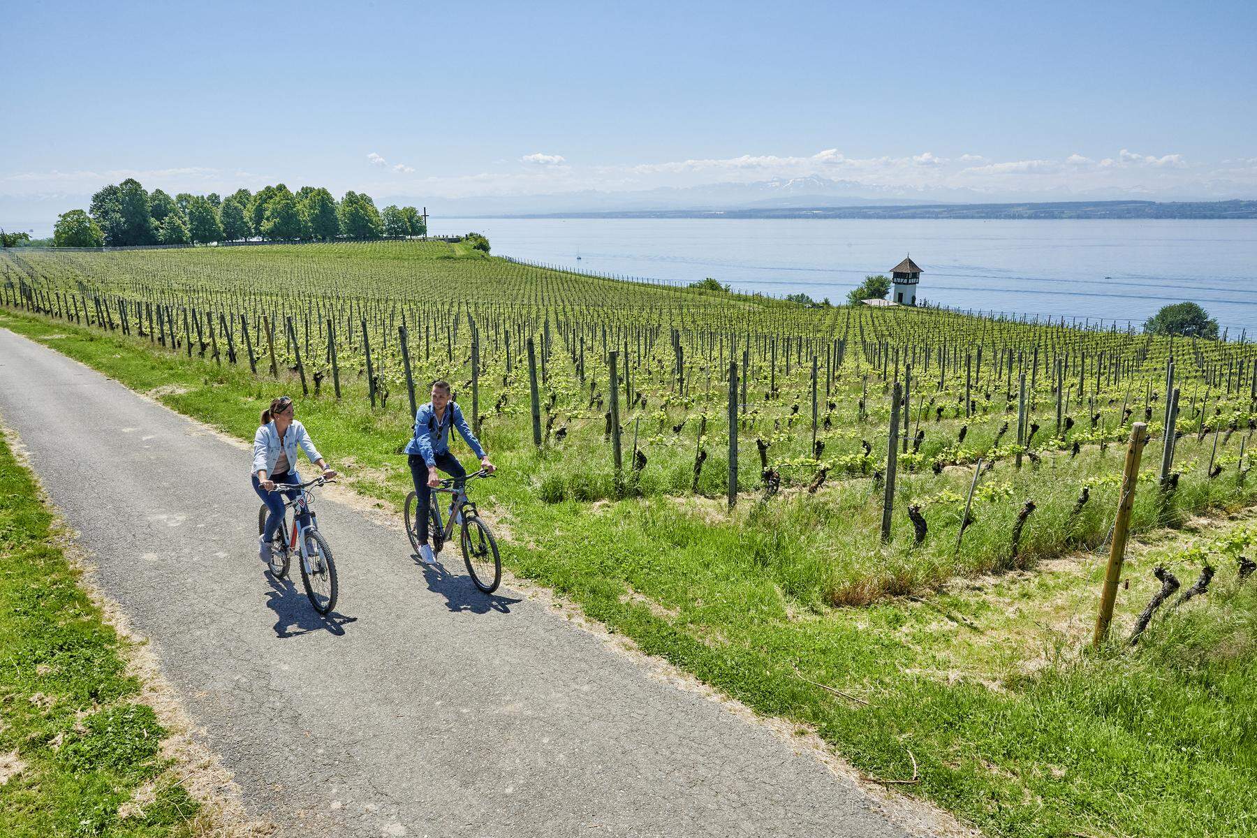 Bodensee-Radweg Ufer drei Länder