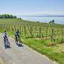 Radfahren durch die Weinberge am Bodensee 