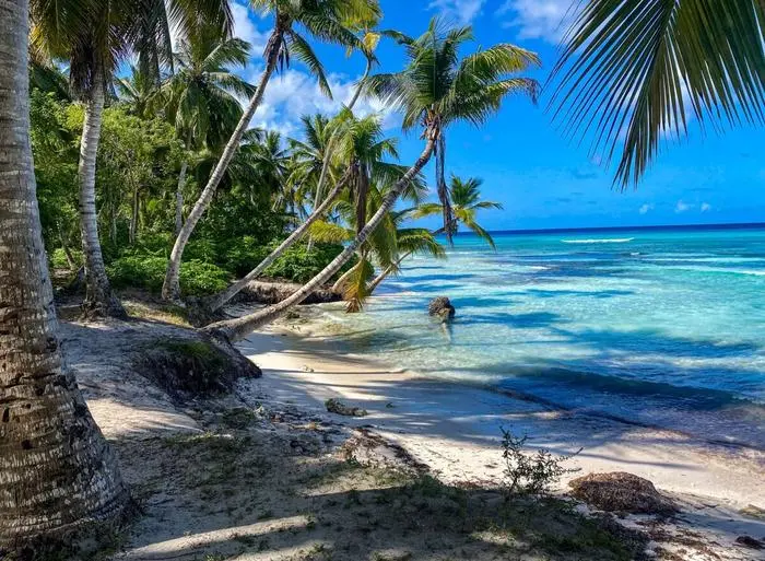 Blackbeard soll auf Saona irgendwo sein Gold vergraben haben