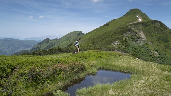 Von der Schoberspitze hat man einen herrlichen Blick auf den gesamten<strong> </strong>Plannerkessel