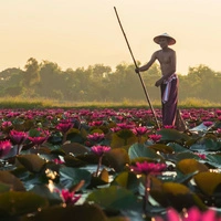 Idylle im ländlichen Laos