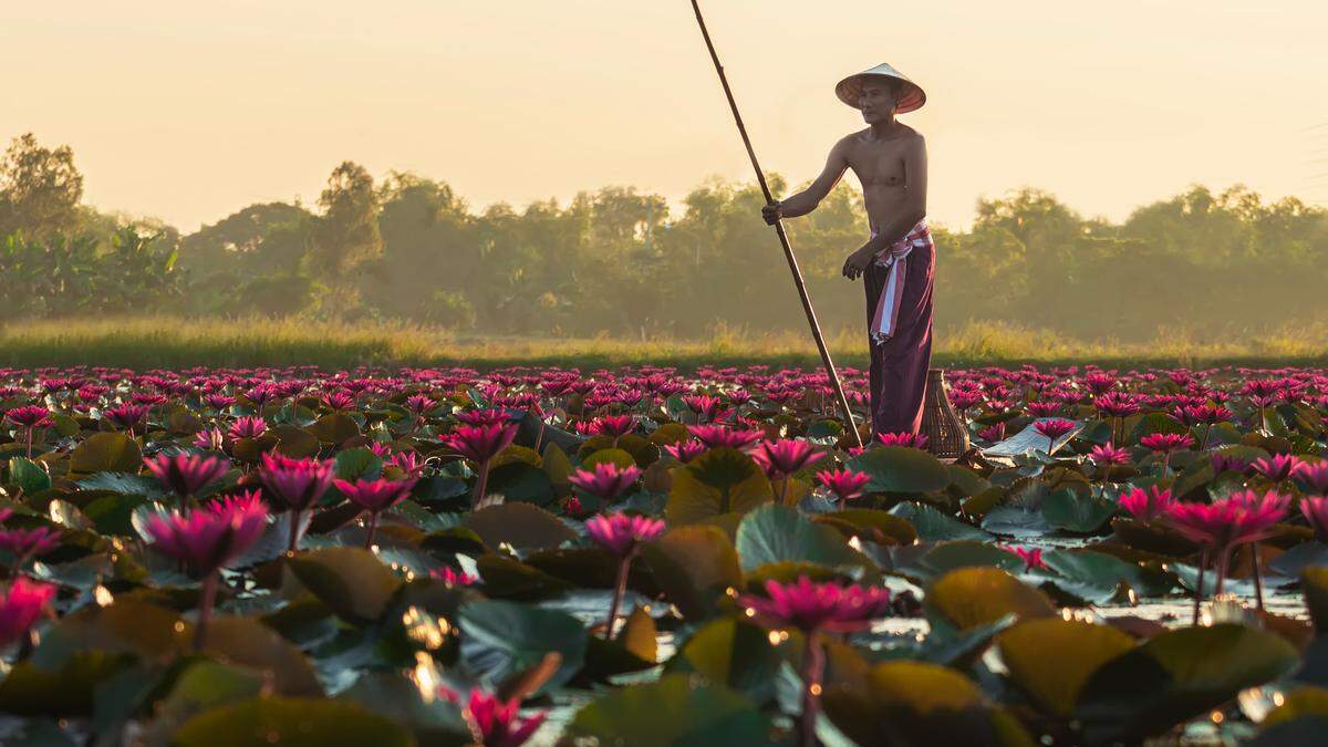 Idylle im ländlichen Laos