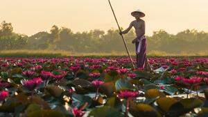 Idylle im ländlichen Laos