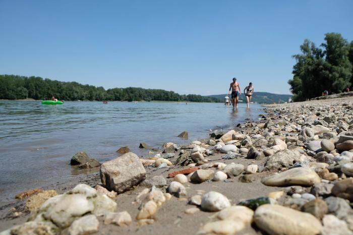 Treibenlassen im Strombad Kritzendorf