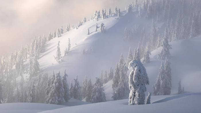 Als Fotograf des Jahres wurde der kanadische Landschaftsfotograf Blake Randall ausgezeichnet, der Szenerien im Winter ablichtete