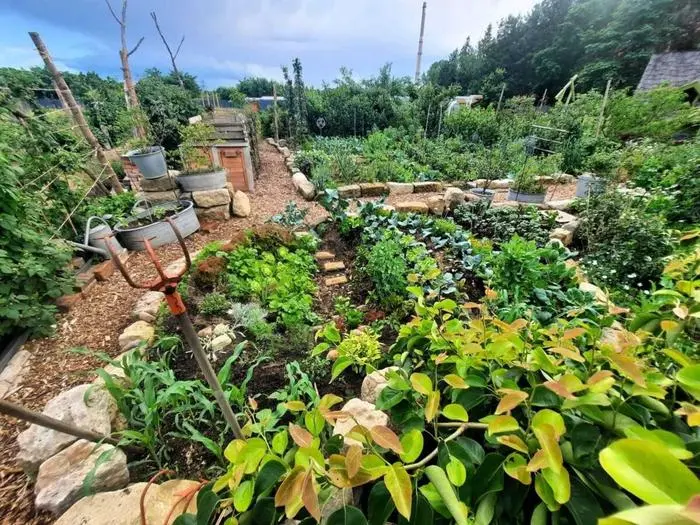 Trittsteine im Kraterbeet können Arbeit im Beet und Ernte erleichtern