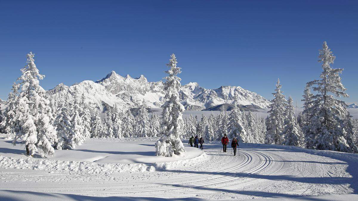 Eine Winterlandschaft wie aus dem Bilderbuch auf dem Rossbrand