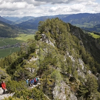 Der bewaldete Gipfel des Freiensteins