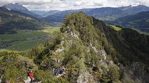 Der bewaldete Gipfel des Freiensteins