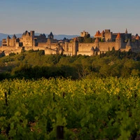 Die berühmte Festungsstadt Carcassonne