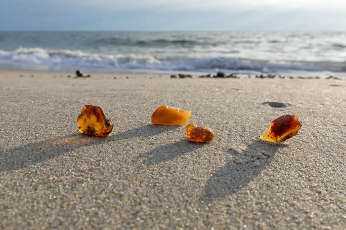 Helgoland. Viele suchen am Strand Muscheln und Treibholz, mit etwas Glück kann man aber auch Bernstein finden. Bei Ebbe oder nach Stürmen bücken sich einige Sammler nach buntem Meerglas. Das sind Scherben, die durch die Strömung am Meeresboden glatt geschliffen wurden. Hotspot für diese „Meerjungfrauen-Tränen“ ist Helgoland, Deutschlands einzige echte Hochseeinsel.