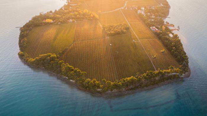 Das Herzstück des Naturparks Debeli Rtič liegt auf einer Landzunge