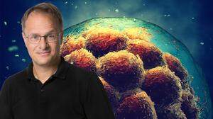 Genetiker Markus Hengstschläger forscht an Embryoiden 