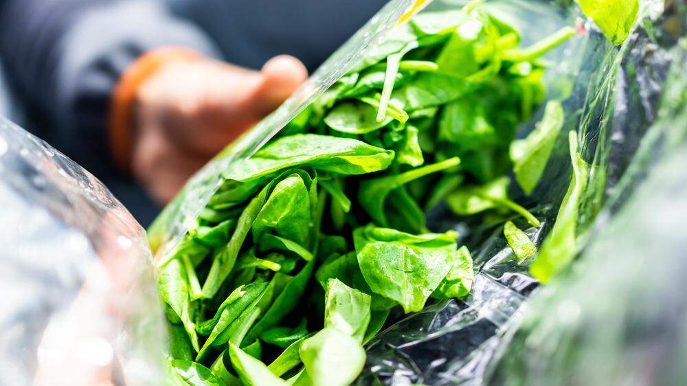 Konsumentenschützer fanden Schimmel und Keime in essfertigen Salaten