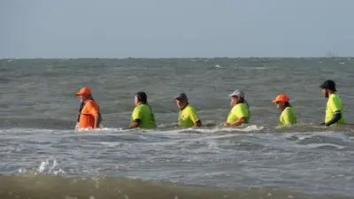 Hinter der Brandung unterwegs: Meerwasserwandern vor Dünkirchen