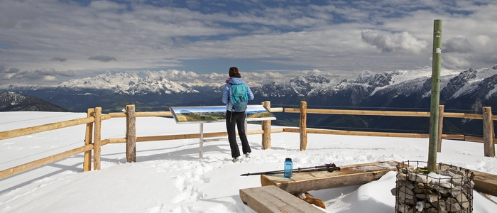 Blick vom winterlichen Gipfelplateau auf dem Trattberg zum Dachsteinmassiv