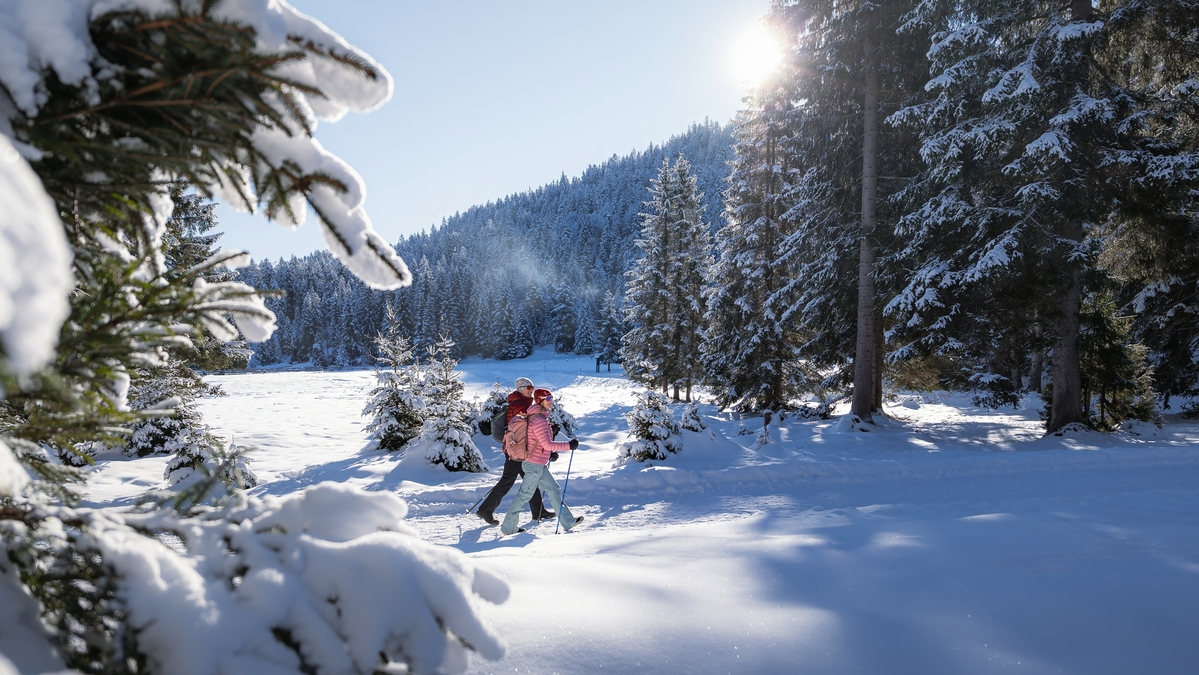 Winterwandern in Wildmoos auf dem Seefelder Plateau