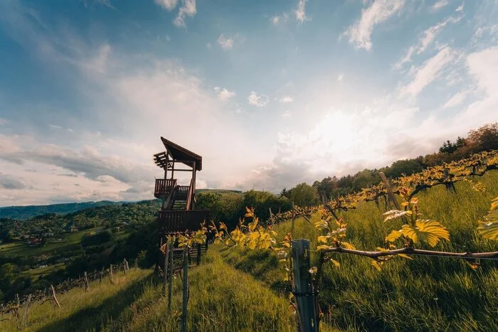 Die Weinbergwarte in Bad Gams