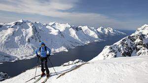 Auf dem Gipfel des Buren (802 m) mit Blick auf den Fjord