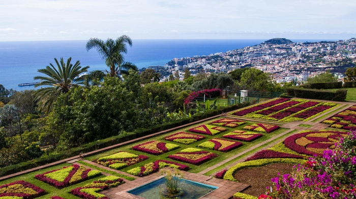 Botanischer Garten. Mit der Seilbahn kann man zum Botanischen Garten gondeln, der hoch auf einem Hügel über Madeiras Hauptstadt Funchal liegt. Einst war er Sitz der Hoteliersfamilie Reid, in ihrem einstigen Herrenhaus ist heute ein naturgeschichtliches Museum eingerichtet. 1960 wurde das Anwesen der Öffentlichkeit zugänglich gemacht und beherbergt auf seinen rund acht Hektar Fläche mehr als 2000 exotische, aber auch endemische Pflanzenarten. Neben dem Ornamentgarten, von dem aus man einen tollen Blick auf die Stadt hat, gibt es einen Park und einen Bereich mit Sukkulenten wie Kakteen oder Euphorbien. 