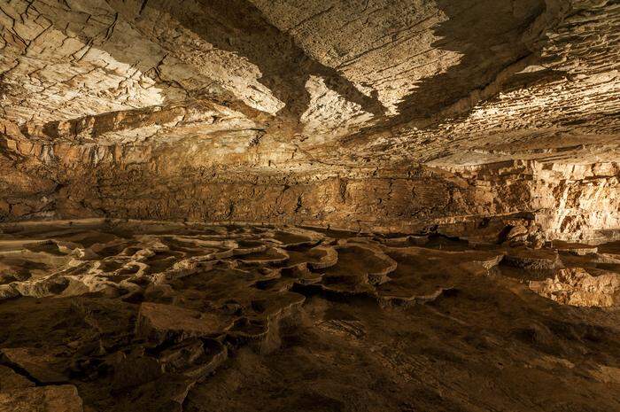 Lebensraum Vjetrenica-Höhle