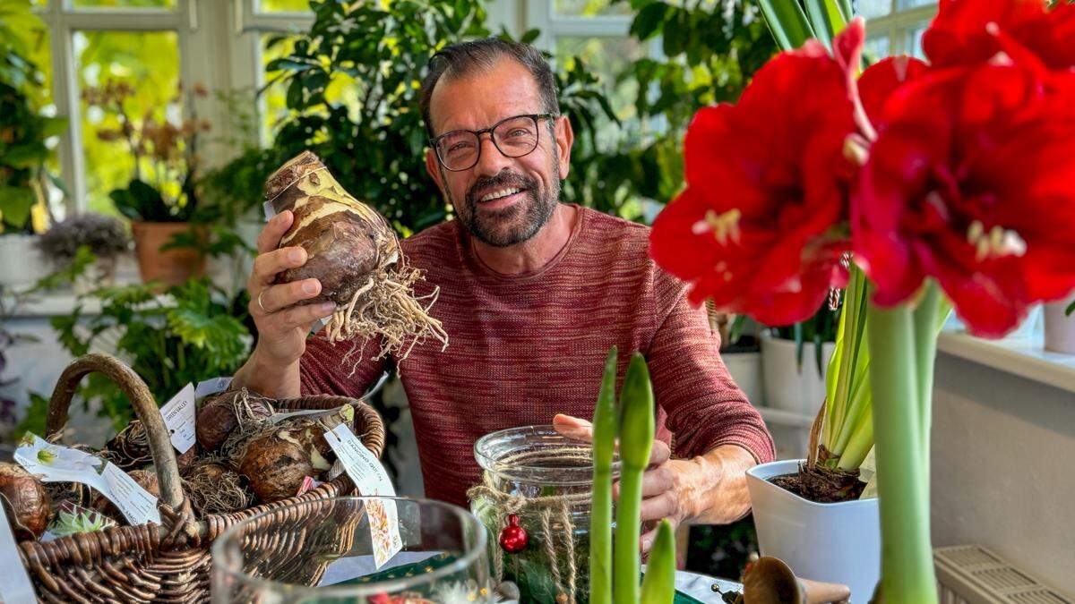 Karl Ploberger zeigt bunte, blühende Zwiebelpflanzen für die Wohnung