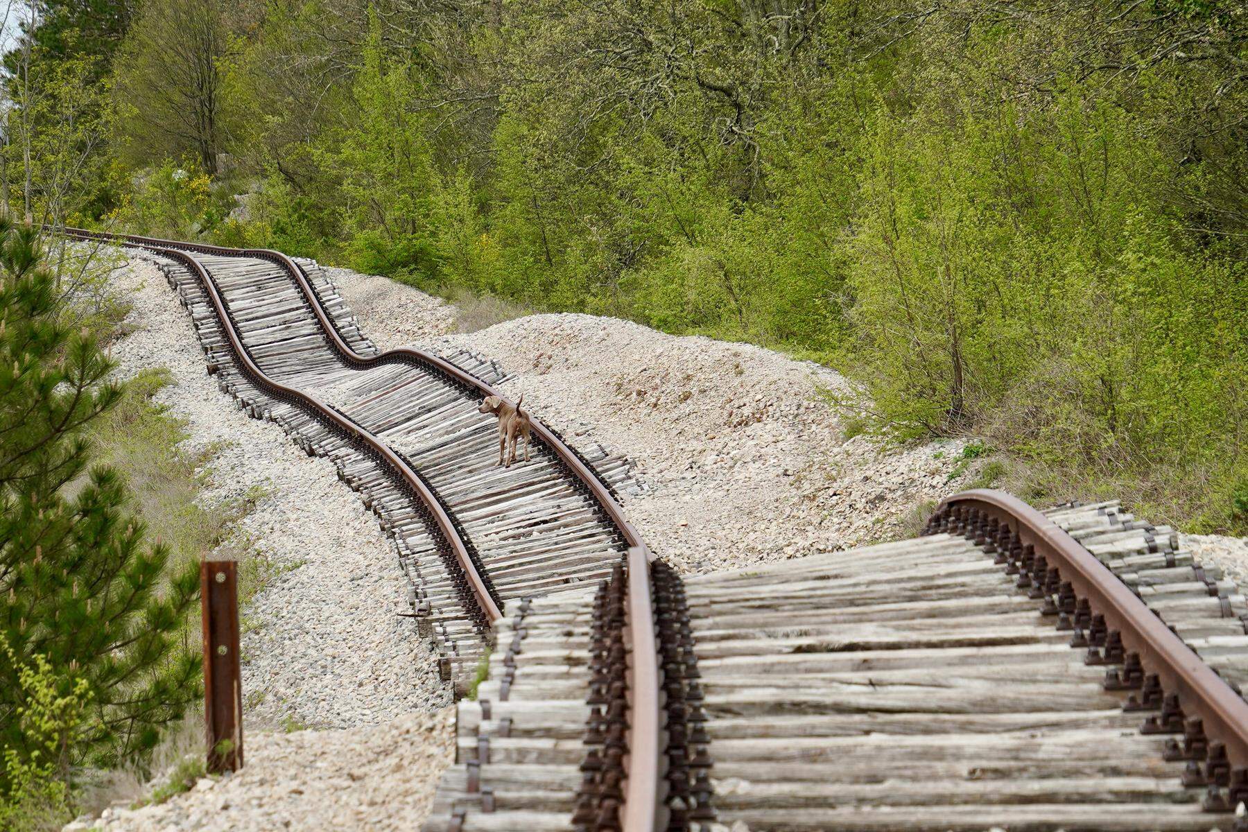 Streng geheim in Kroatien: Wo in Istrien die Eisenbahngleise betrunken sind