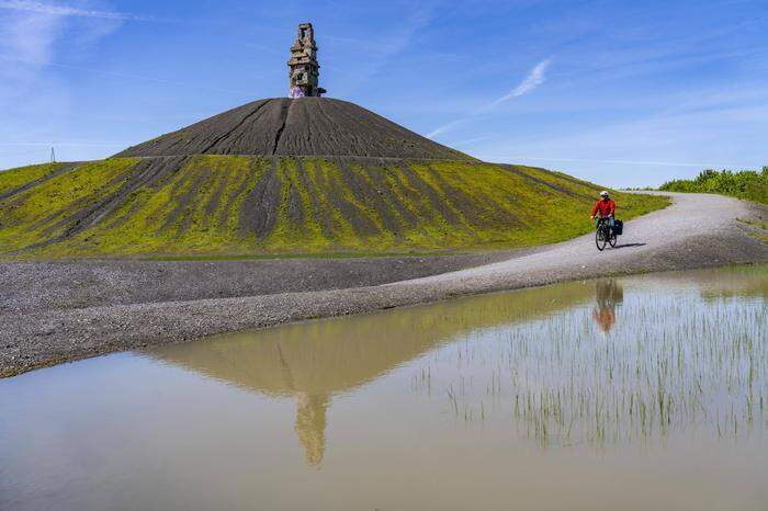 Radfahrer auf der Halde Rheinelbe in Gelsenkirchen, heute ein Skulpturenpark