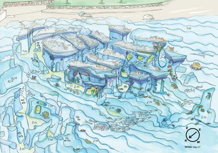 Eine der künstlerisch gestalteten Unterewasserkarten