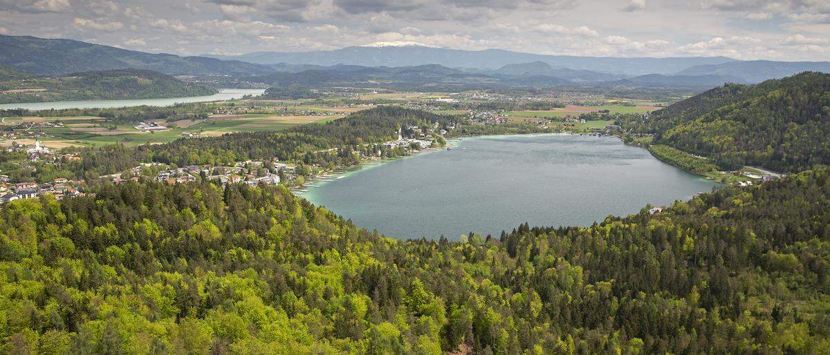 Wer den Kitzelberg erklimmt, wird mit einer herrlichen Aussicht auf den Klopeiner See belohnt