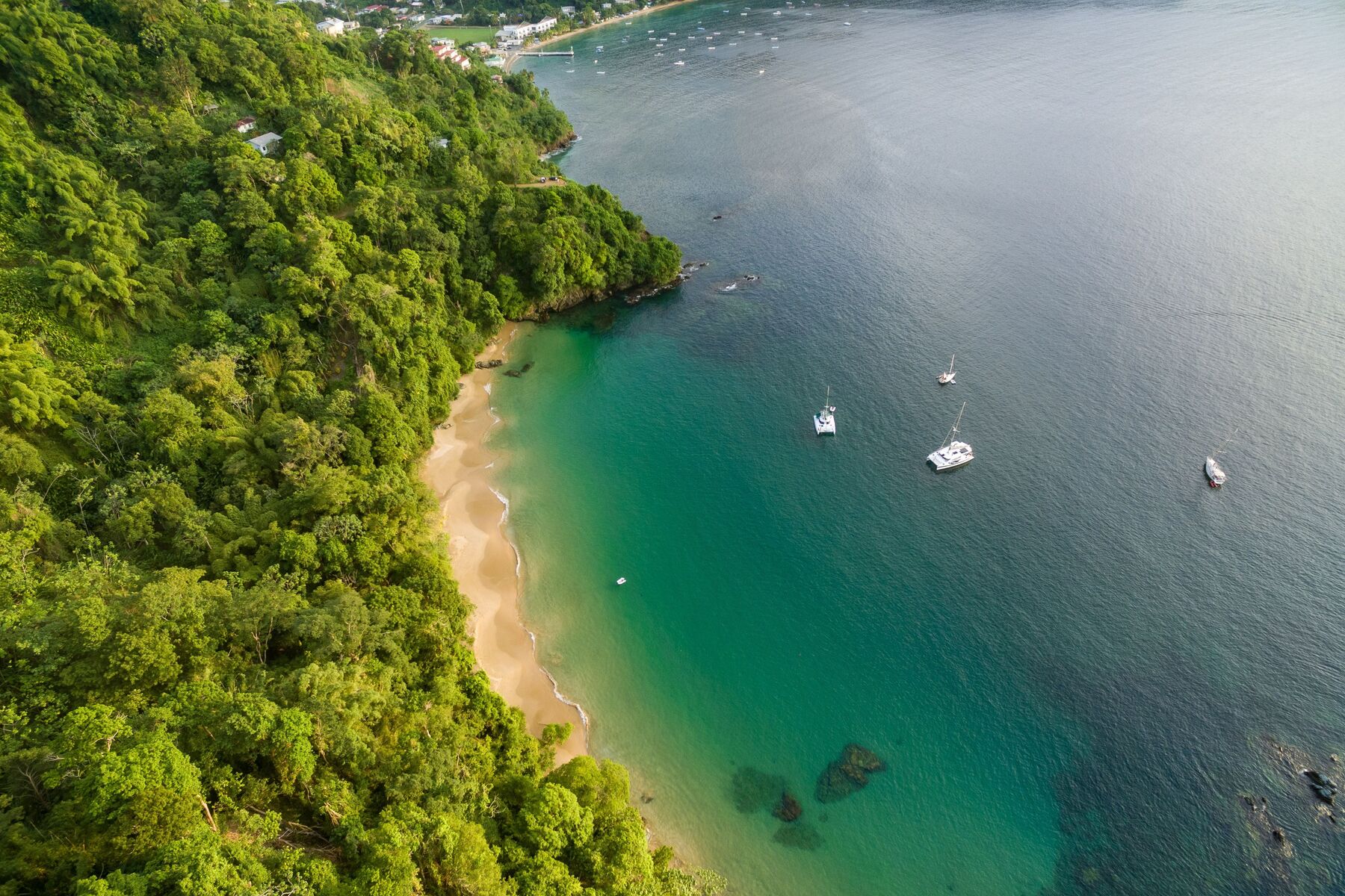 Tauchen & Traumstrände: Tobago ist noch ein Geheimtipp in der Karibik