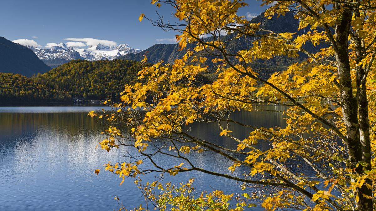 Stimmungsvolle Herbsttage am Altausseer See