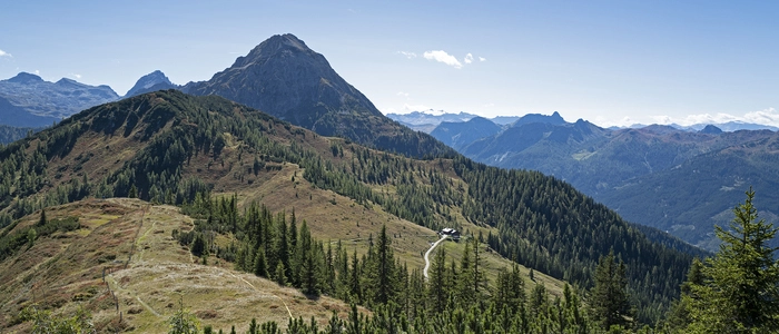 Vom Aussichtspunkt auf dem Mooskopf hat man einen herrlichen Blick über die Kleinarler Almen bis zu den Gipfeln der Hohen Tauern